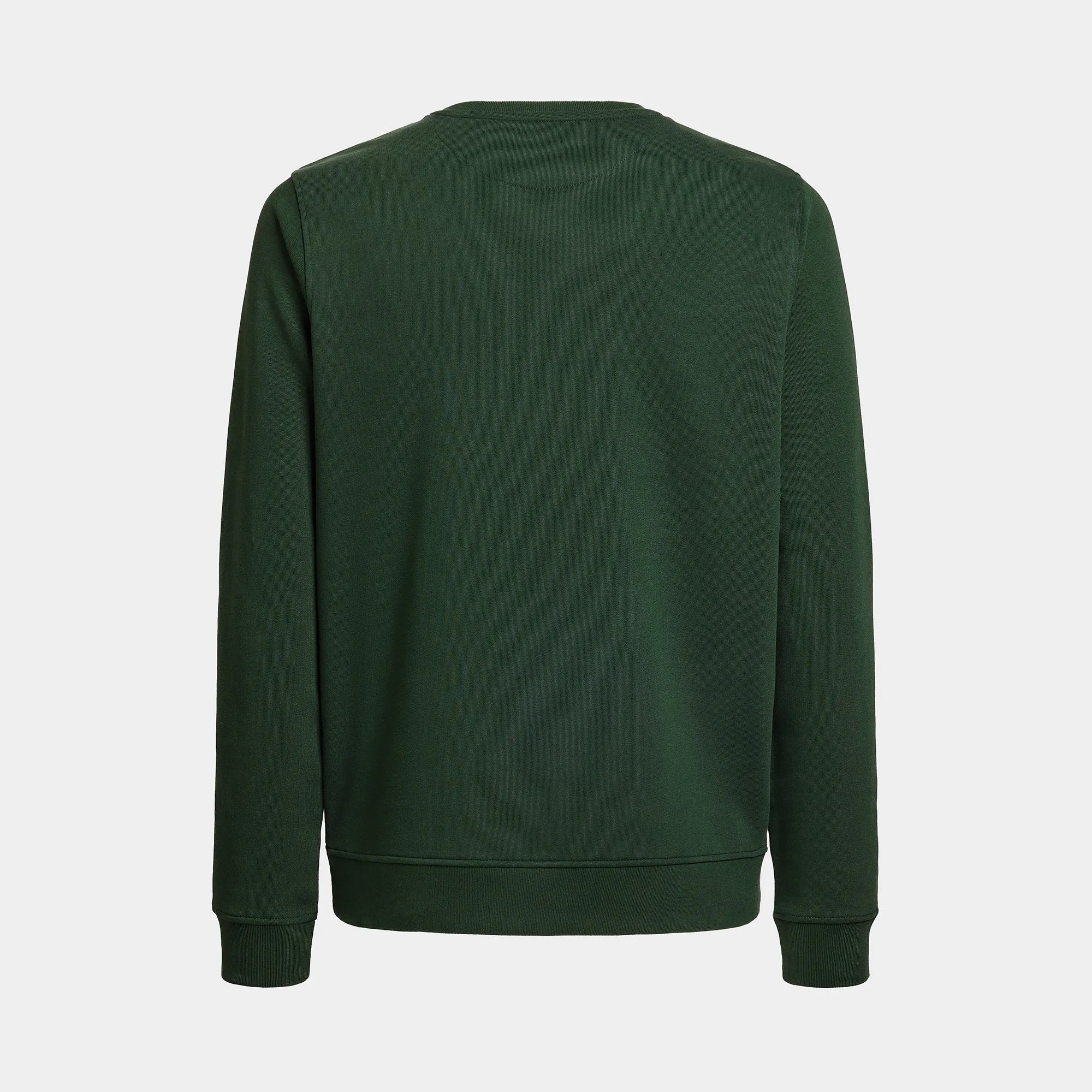 Green Sweater