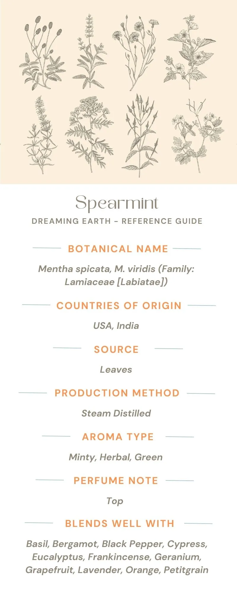 Spearmint Essential Oil